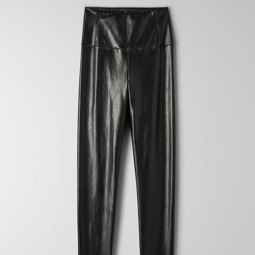 wilfred daria pant